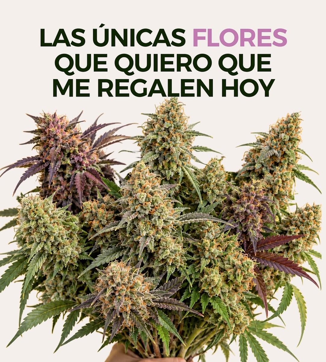 Caspixhita's tweet photo. Siempre verde🍀 https://t.co/8DiUpsP3cB