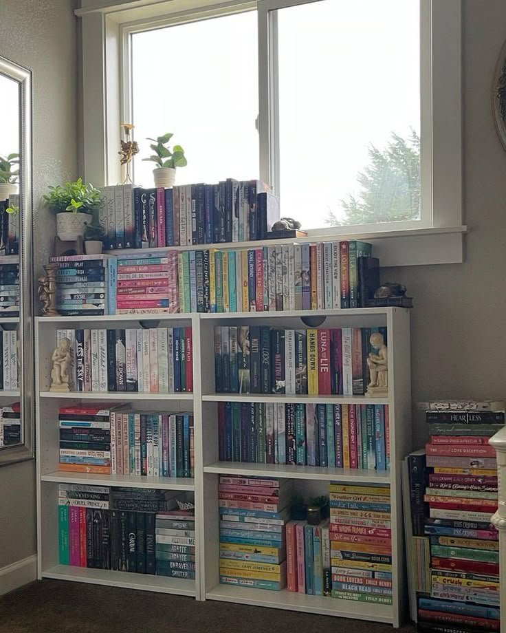 Aurielle007s's tweet photo. My book collection 📚 https://t.co/mbqeRQZCze