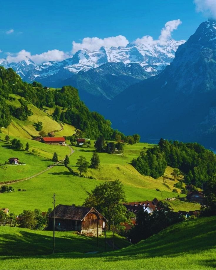 Alina_bloom79's tweet photo. Switzerland countryside..🇨🇭 https://t.co/ljt2zHuwKD