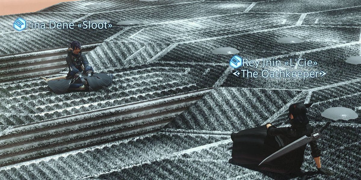 Maziodyne_'s tweet photo. Doing the Omega raids I ran into this person like 3 times in a row. Realising we both are going at this at the same pace we decided to party up and finish the raids together. This what its all about man https://t.co/Nkcgwcg7pX