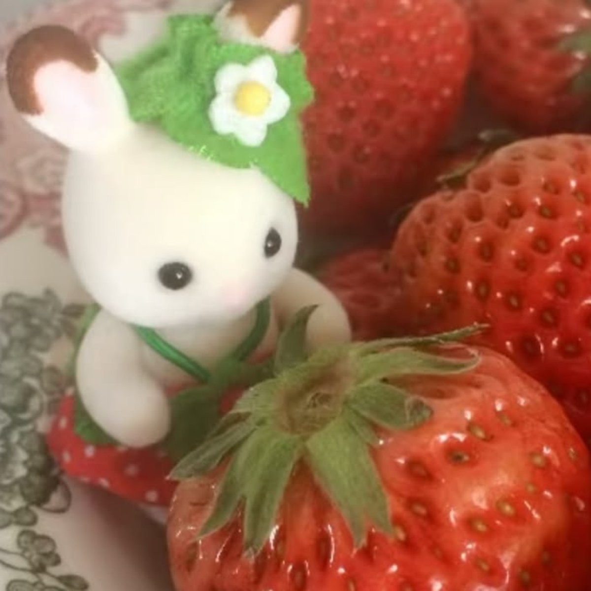 vivihateskcal's tweet photo. ⋮ ⌗ 🍓┆Fio com receitinhas gostosas e lowkcal para você fazer aos finais de semana!! 𖹭 

🍔 | uma thread para o ed, não interaja se não for da comunidade! https://t.co/EEAm8Hu2a9