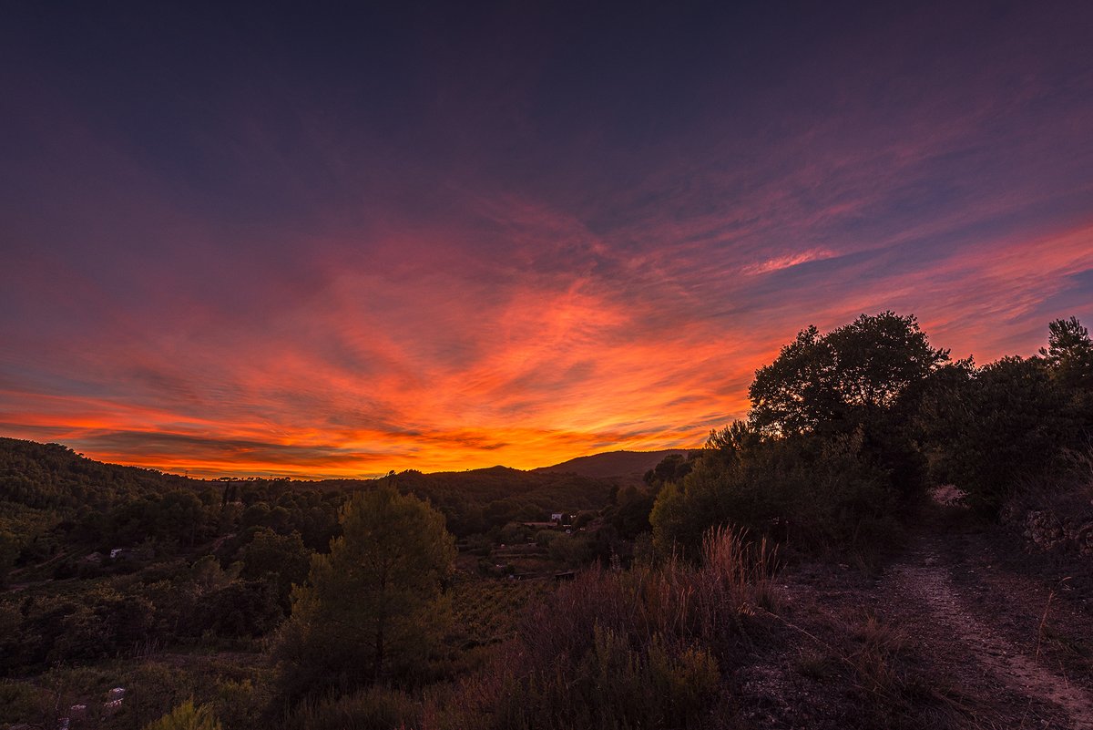 santquintimeteo's tweet photo. Espectacular #capvespre rogenc avui amb el pas de núvols alts. @Vakapiupiuu @3CatInfoelTemps @meteorac1 @alcantara_alb @btveltemps @SoniaPapell @SergiLoras @Meteomaxima @tempsdemeteo @MeteoPenedesTV @IsaacVila9 https://t.co/EHudELHZlw