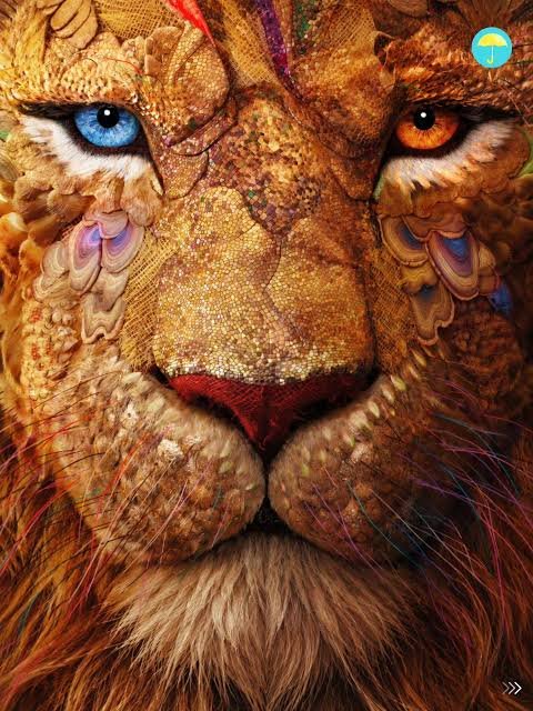 Sxxcott's tweet photo. De verdade, espero que Wildwood e Nárnia deem uma revivida na fantasia infanto-juvenil, que ultimamente virou refém de remakes Disney e algumas séries de streaming. Tem muitos livros que poderiam ser adaptados, como Terramar, e alguns revisitados, como O Mágico de Oz. https://t.co/TAUtBWo8El