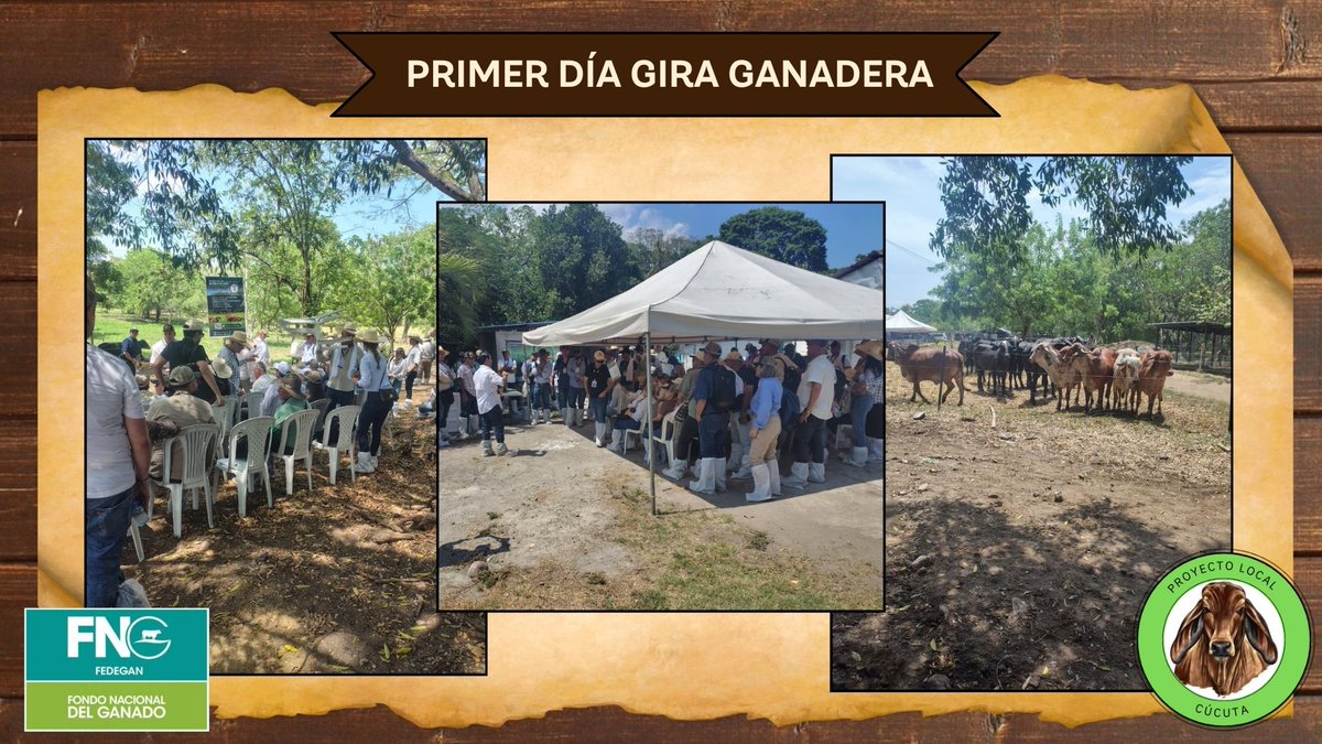 cucutapasiongan's tweet photo. Primer día de la GIRA GANADERA 20 AÑOS, 
Conocimiento, experiencias y ganadería en acción. 👏🤠 #OrgullosamenteGanaderos  #ConstruyendoGanadería  @Fedegan  @jflafaurie  @puerto_pl  @Fedegansangil @alvarocomunica  @PL_LaDorada https://t.co/h4oJXJYXfb