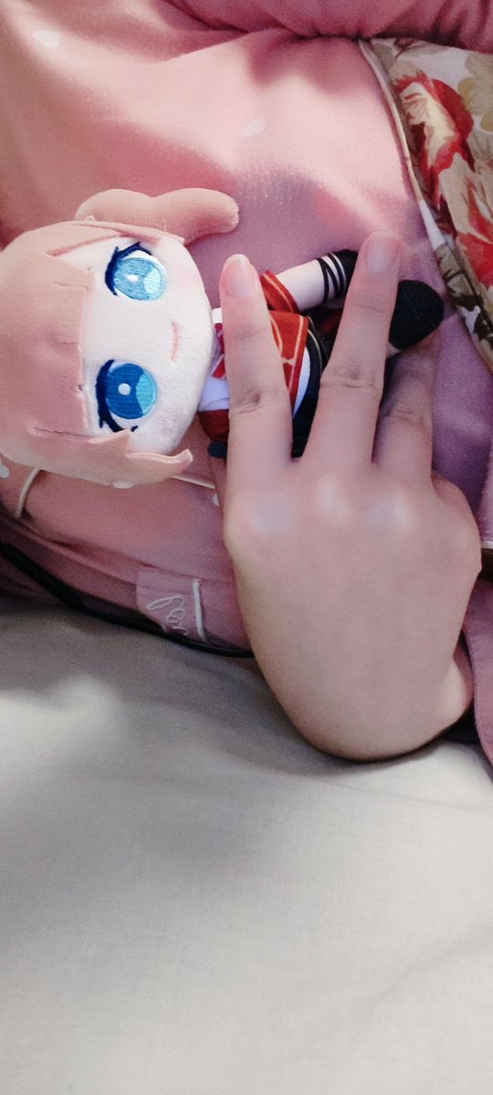 BarncordS's tweet photo. 穂波ぬいぐるみ https://t.co/wraUqSFSH5