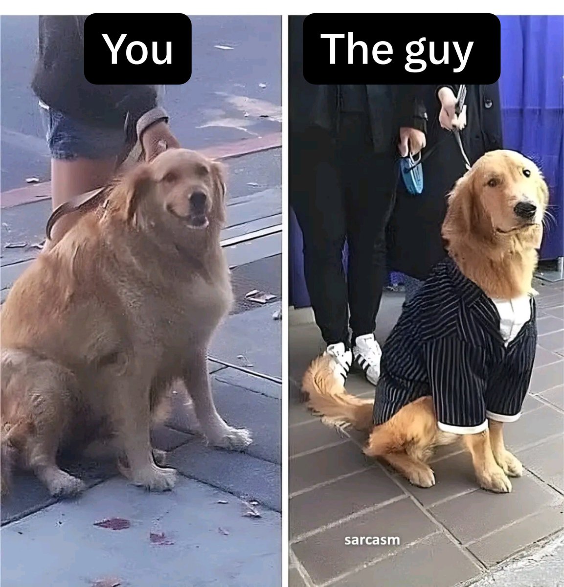 mrlelouch01's tweet photo. You vs the guy she told you to not worry about https://t.co/G3qCNGw3yJ