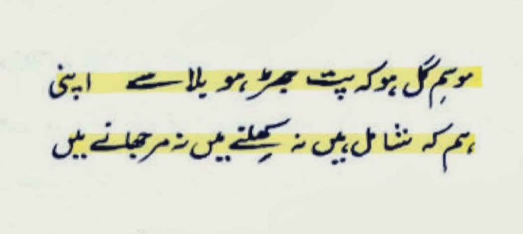 Puraani_Kitaab's tweet photo. نہ نکہت ہیں نہ گل ہیں۔۔۔ https://t.co/kfHlpliZxy