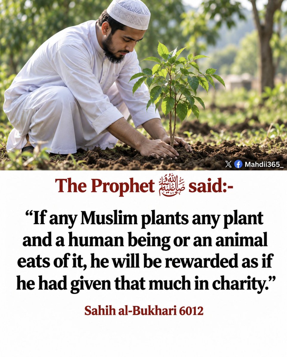 Mahdii365_'s tweet photo. The Prophet [ﷺ] said: https://t.co/5jYm4uaSeB