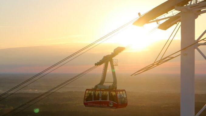 traveltrolley tweet picture