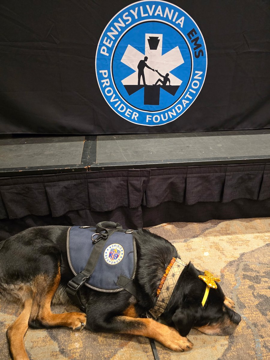 stat_medevac's tweet photo. Our photo album from the 2026 PA EMS Memorial Bike Ride. Great to see everyone!  What an invigorating and engaging time.  And what a wonderful way to reflect on, and memorialize, those who have passed. 

Please comment your reflections on this year's or previous year's rides. https://t.co/dHIeSHLTkr