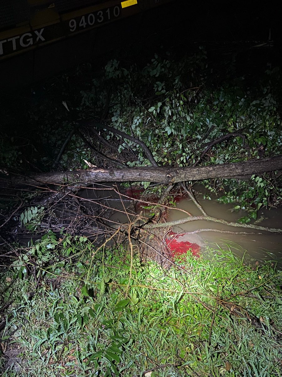Fallen tree branches partially submerged in a shallow, muddy stream with green grass surrounding the water's edge at night.