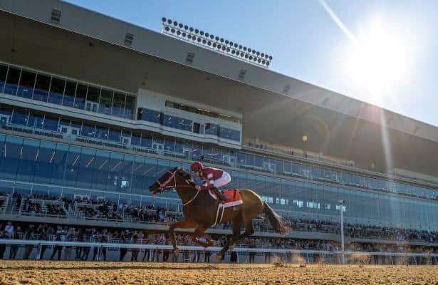 HR_Nation's tweet photo. Is Forever Young one of the greatest of all time? Ed DeRosa looks at whether he should be in the conversation already – and what a second Breeders' Cup Classic win might do.

https://t.co/jSxn2cURhj

📸: Jason Moran / Eclipse Sportswire https://t.co/9Z95jTJEO5