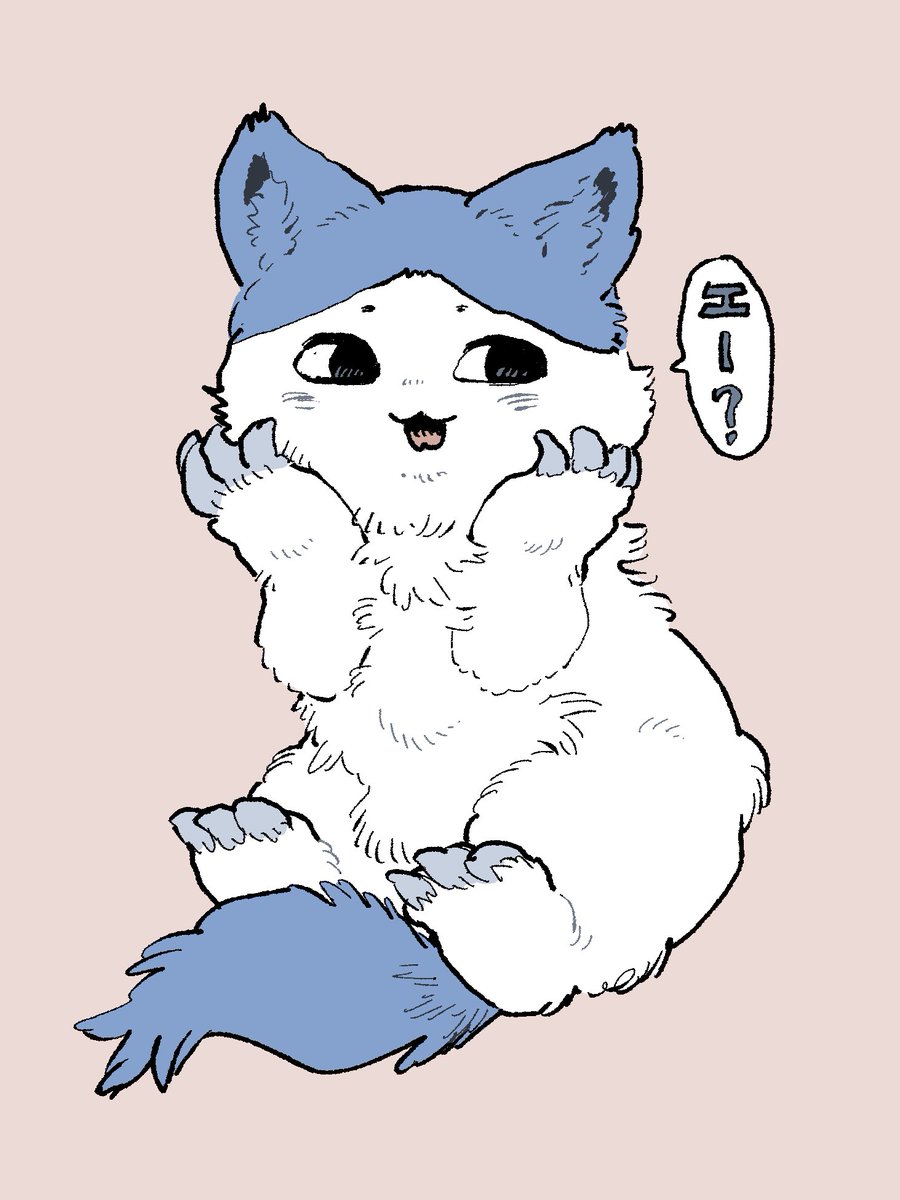 yukiji61's tweet photo. 大ハチワレ再掲 https://t.co/WZQ4DmRJ6j
