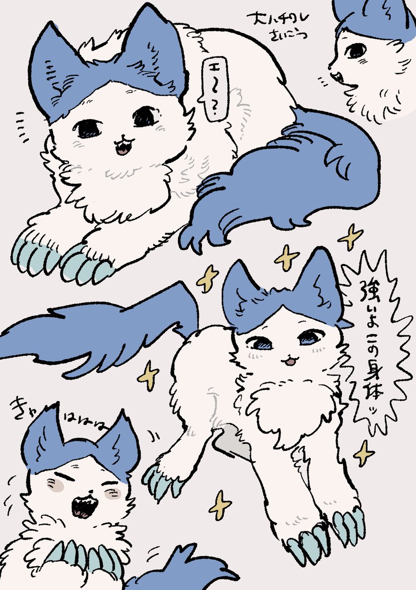 yukiji61's tweet photo. 大ハチワレ再掲 https://t.co/WZQ4DmRJ6j