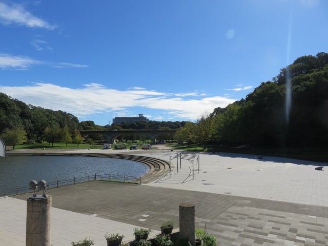 matsudo21kouen's tweet photo. 【#今日 の🌳#21世紀の森と広場🌼】
#台風一過 で青空が広がってます🌄
園内ぬかるんでいる箇所がありますので
👟歩きやすい服装🥾でお越しください👣
✨イベントが開催されますので💫
https://t.co/4iTq6AIgAp
🔊本日は駐車場状況を投稿します📢
#モリヒロ https://t.co/L6i4bk7Rth