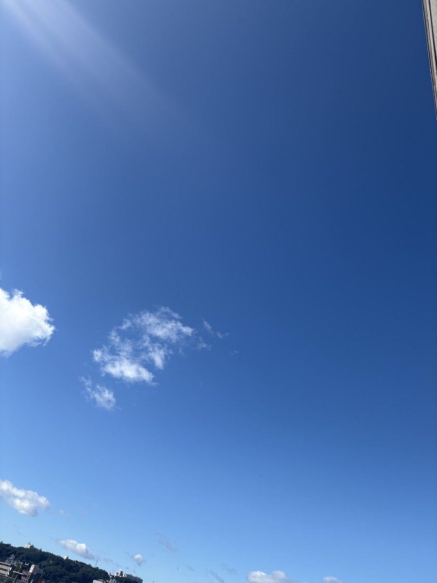 hangingnoir's tweet photo. おはようございます☀
なんか見事な晴れ https://t.co/AFmSEBPIlL