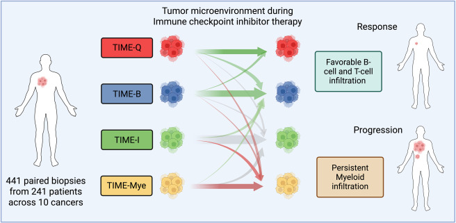 Cancer_Cell's tweet photo. TIME in motion: How response takes shape https://t.co/WMrbMPhNxr https://t.co/LHVdofAmei