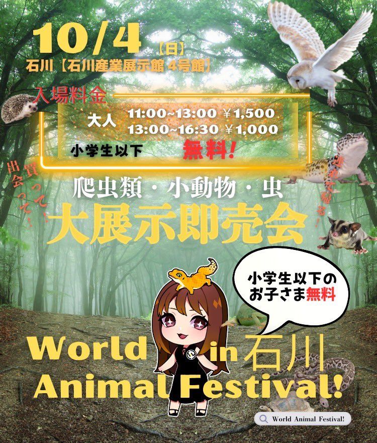 JadeGrove0101's tweet photo. 【イベント予約受付中🐾】フクロモモンガ プラチナモザイク／女の子
本日デビューとなります！

WAF石川にてお迎え可能です！！

#JadeGrove
#フクロモモンガ
#WAF石川
#ご家族様募集中 https://t.co/OoBLce6CY3