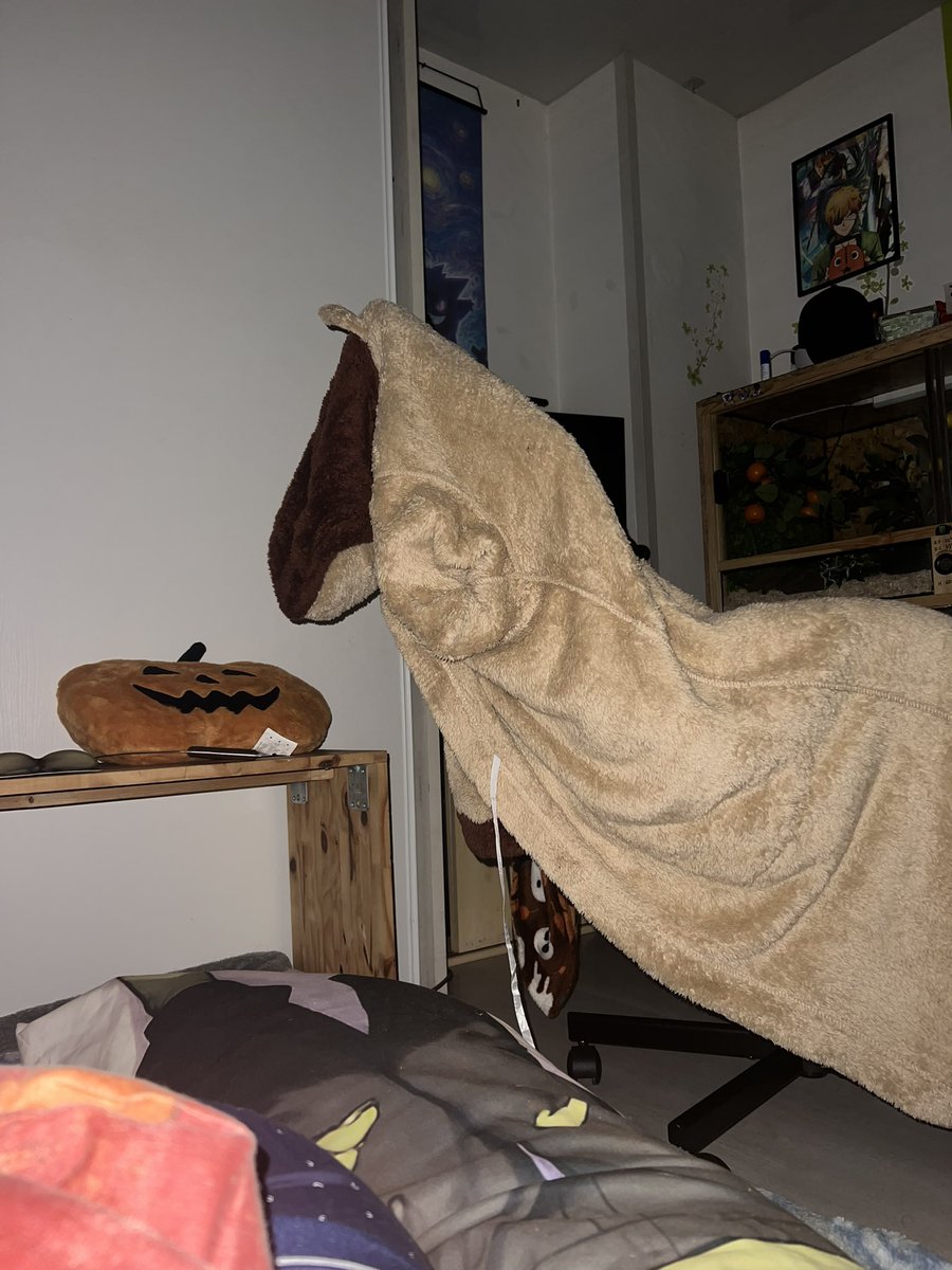 GoblinAnko's tweet photo. J’ai passé la nuit dernière à flipper à chaque réveil à cause de la silhouette du cheval… https://t.co/ufsLfICP9N