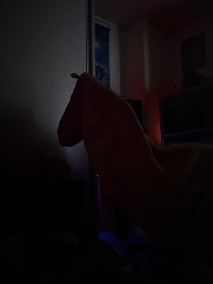 GoblinAnko's tweet photo. J’ai passé la nuit dernière à flipper à chaque réveil à cause de la silhouette du cheval… https://t.co/ufsLfICP9N
