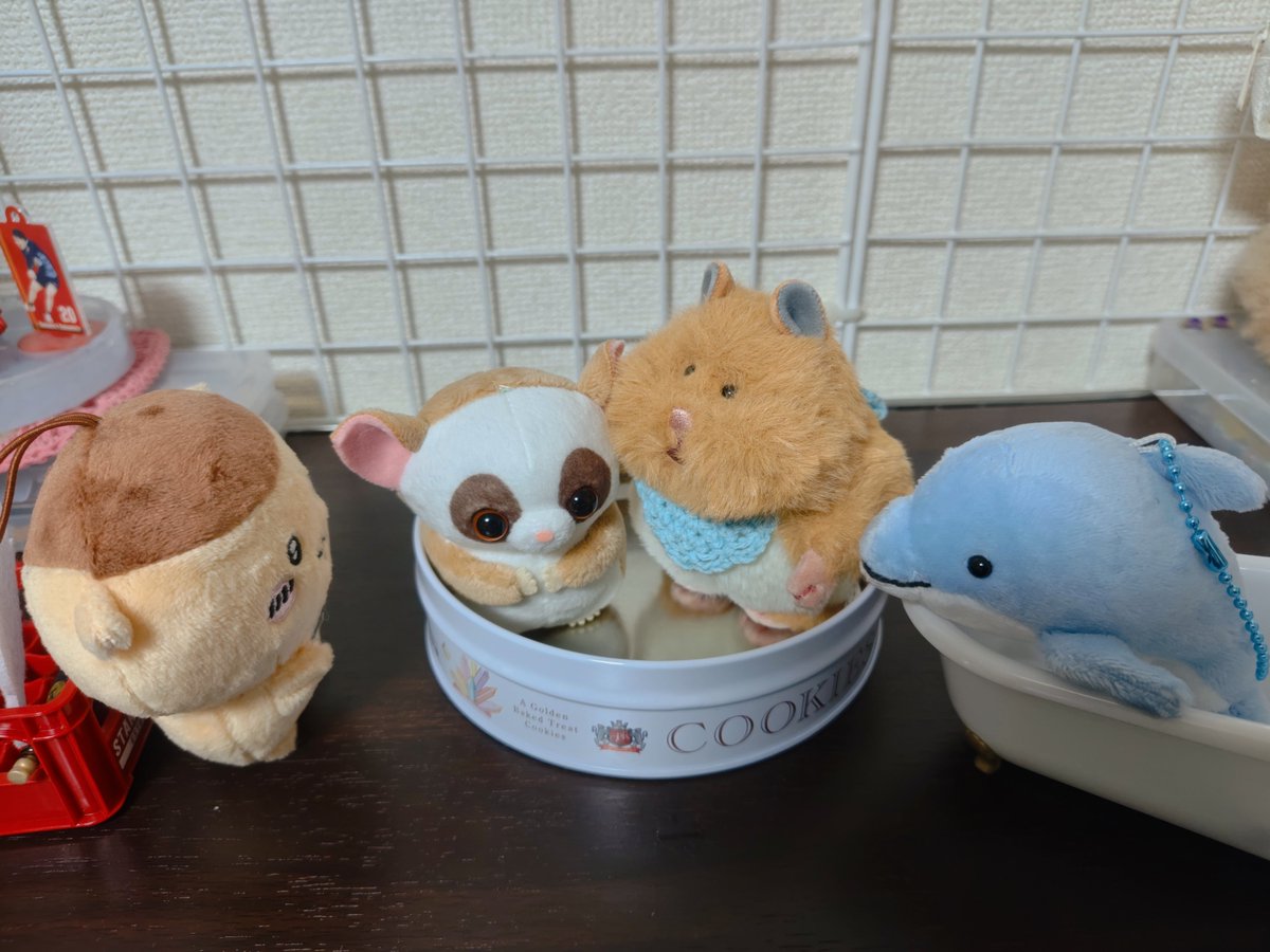 shiole_39's tweet photo. みんなおともだち。だからだいじょうぶ｡
#はむにぎり 
#ぬいぐるみ
#ぬい撮り https://t.co/9Tpdmg6A5f