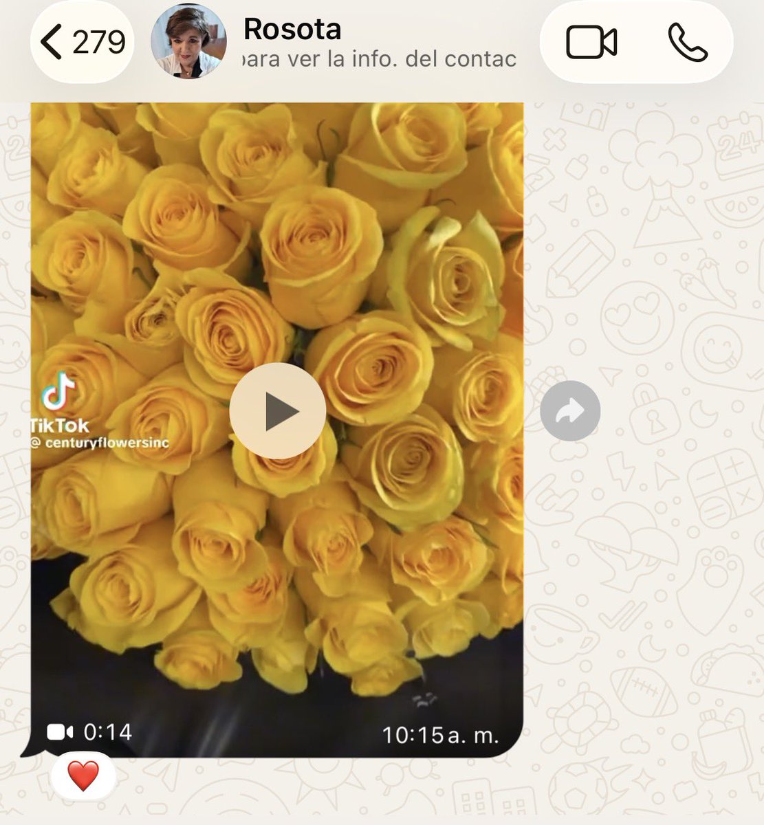 YareliSerna00's tweet photo. Las únicas que recibí 😝 https://t.co/sGFnD8OnMX
