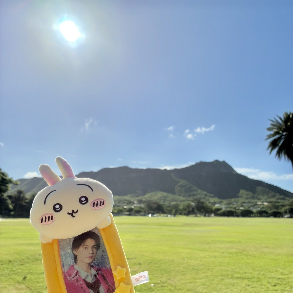 __miht's tweet photo. はやちゃんダイアモンドヘッドだよ https://t.co/LUbDDHxdjz