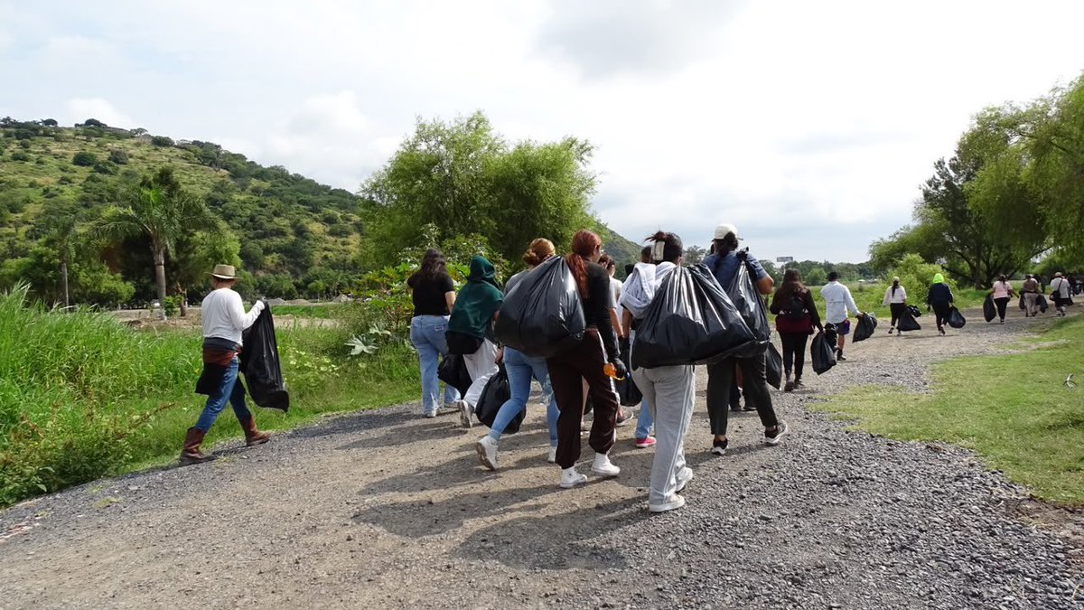 GSandovalSalas's tweet photo. 🇲🇽🤝 La recuperación de nuestros ríos requiere la suma de voluntades y trabajo en territorio. Desde Jamay, #Jalisco, la #ORE de @SEMARNAT_mx en la entidad se sumó a la Mega Jornada de Limpieza del Río Lerma-Santiago, como parte del Compromiso 92 impulsado por la presidenta @Claudiashein para avanzar en el saneamiento y restauración de los ríos Lerma-Santiago, Tula y Atoyac.
🌱 La jornada contó con la participación de jóvenes beneficiarios del programa Jóvenes Construyendo el Futuro, quienes participaron en labores de limpieza y reforestación a lo largo del Lago de Chapala.