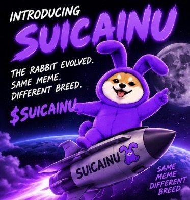 Swiftzy117's tweet photo. 🚀 THE RABBIT JUST EVOLVED. 🐰💜
Same meme. Different breed.
Meet $SUICAINU — built to send. 🌙🚀
Rabbits move markets, INU moves hearts.
🐰 $SUICAINU
🚀 Ready for liftoff
💜 The evolution begins NOW
#SUICAINU #PumpFun #Solana #Memecoin #CryptoTwitter #skininthegame https://t.co/zkxUIxcKao