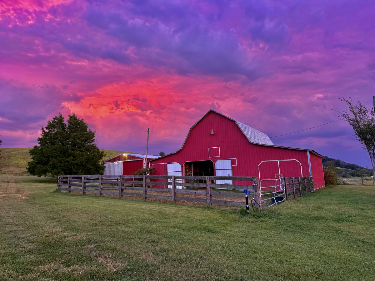 allthedogspleaz's tweet photo. Storms in the area made for a beautiful sunset glow 😍 https://t.co/SnRvxis0GF
