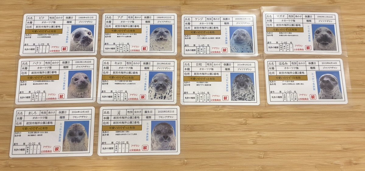 daioki's tweet photo. これです https://t.co/GbuTqqGeZf
