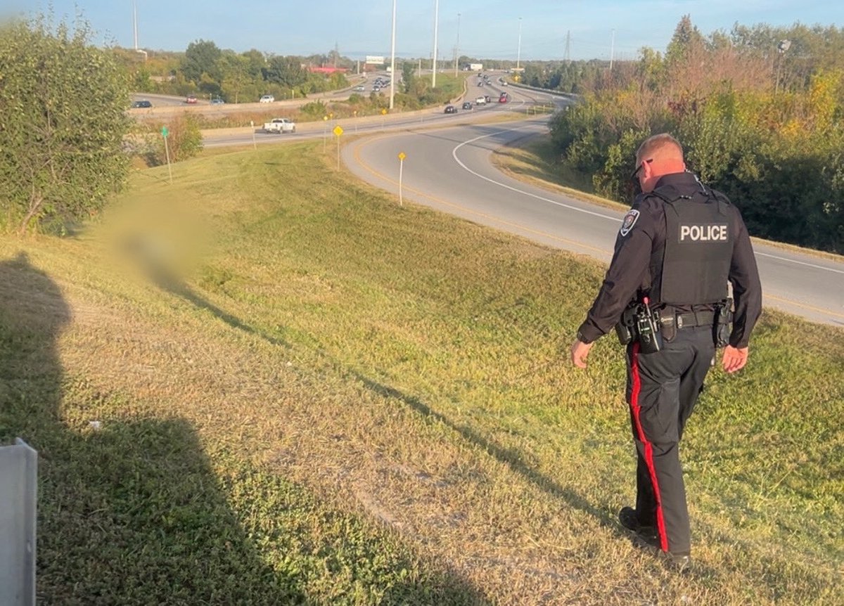 onscenephoto_'s tweet photo. ** Not our usual post but we thought we would share it “ 

This evening, we had to make a call to 911 after witnessing an intoxicated male wandering along the shoulder of the on-ramp to Highway 417.

Members of the Ottawa Police Service attended within minutes and were able to make contact with the male before he entered the roadway.

We want to recognize the officers for their professionalism, compassion, and quick response in handling the situation.

👏 Thank you, @OttawaPolice , for your outstanding work and for helping keep our roads and community safe!