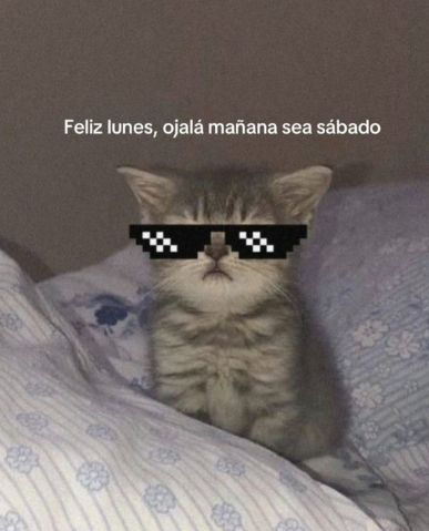 tomash9emc's tweet photo. por favor https://t.co/Kk8O8HR9TE