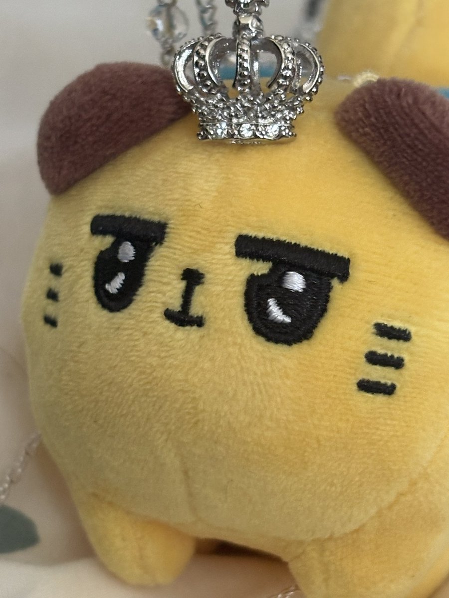 otoshigoto02's tweet photo. 👑 https://t.co/ijXYiXg3G2