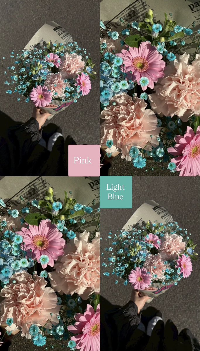 joha_alam's tweet photo. 色の組み合わせが周りと被らなくて
圧倒的にセンスがオシャレすぎるお花屋さんはここ🌼💐✨ https://t.co/quPaHqFDiT