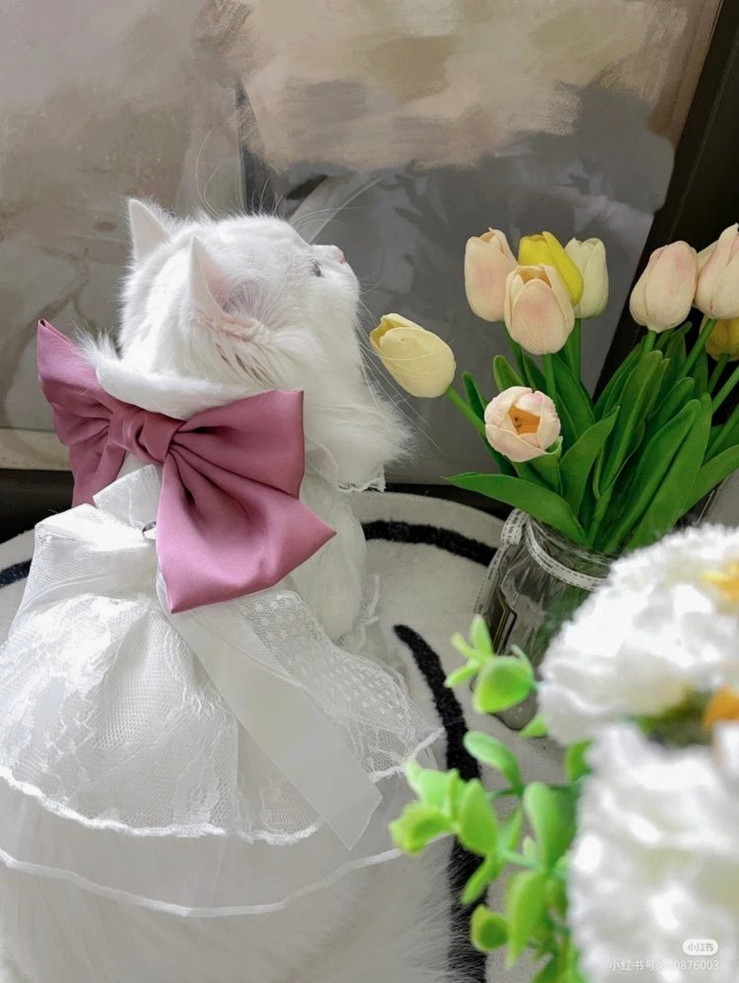 sparkyp77's tweet photo. それな、私も待ってたのに値上げされて困ってるガチで https://t.co/5u7IYaW3XY