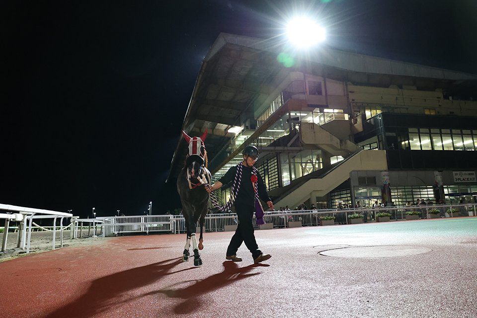 NorichikaYokog1's tweet photo. セイクリスティーナが3歳牝馬三冠達成。岩手での3歳牝馬三冠路線がはっきり設定されて以降の初めての三冠達成という偉業を成し遂げました。
何度か書いているのですが一冠目となる留守杯日高賞を勝つハードルがなかなかに高く、その後のひまわり賞とオータムティアラを勝っている馬は複数いるのですが、三つ全て勝てる馬はもしかしたらずっと出てこないのかも･･･と思っていました。日高賞を勝ってみているこちらも“これは！”と沸き立ったものですが、その後も無事に勝ち進んでくれてついに三冠達成。山本聡哉騎手の力の入った、嬉しさのこもったガッツポーズもさもありなんです。
馬の強さももちろんですが、どちらかといえば短めの距離向きのこの馬を長めの距離に対応できるよう、日常生活の中での気持ちの入り方まで気を配った調整をし、実戦の中でも改善したい課題をたて、ひとつひとつクリアさせていった陣営の工夫と努力もまた賞賛されるべきだと感じます。まずはおめでとうございました！