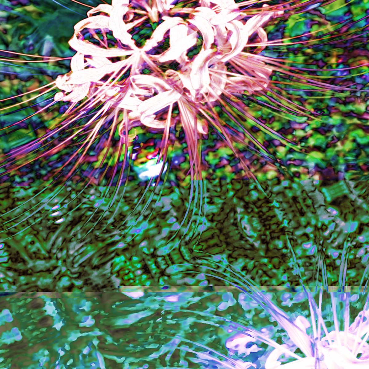 NonNonAddiction's tweet photo. 『Red Spider Lilies in a Whiteout』
created by NonNon∆ddiction
Member on Twitter
egg @egg_210
My Other Project.↓
the cocaine's pix @CocainePix
#NonNonAddiction
#曼珠沙華 #glitch
#非生成デジタルアート
#DigitalArtist #VisualArt
#現代アート #collage
#デジタル絵 #芸術の輪 https://t.co/lN2zUTruM3