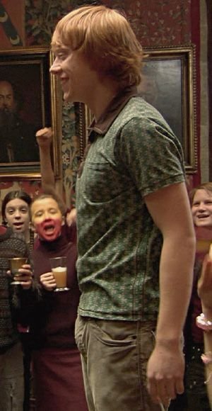 3_hoo_'s tweet photo. Mr. Wesley, Weren't you from Gryffindor? And what's that snake over there?
Rupert rupert Theirs look so soft. https://t.co/bwC7jfSFcG