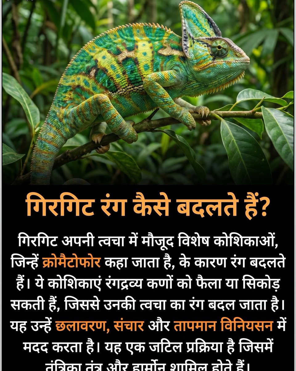 wel_junio's tweet photo. हैरान कर देने वाले ज्ञानवर्धक तथ्य, इतिहास के रहस्य और दुनिया की अनसुनी सच्चाइयाँ जानने के लिए अभी फॉलो करें। https://t.co/CFGZqw1w4d