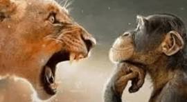 Planetadatuamae's tweet photo. @gmain19177 @EricMou45001691 @PauloRo32191738 @lukscfc @Fred_Borba ganha do guarani primeiro serie b https://t.co/M7klF0EcBN