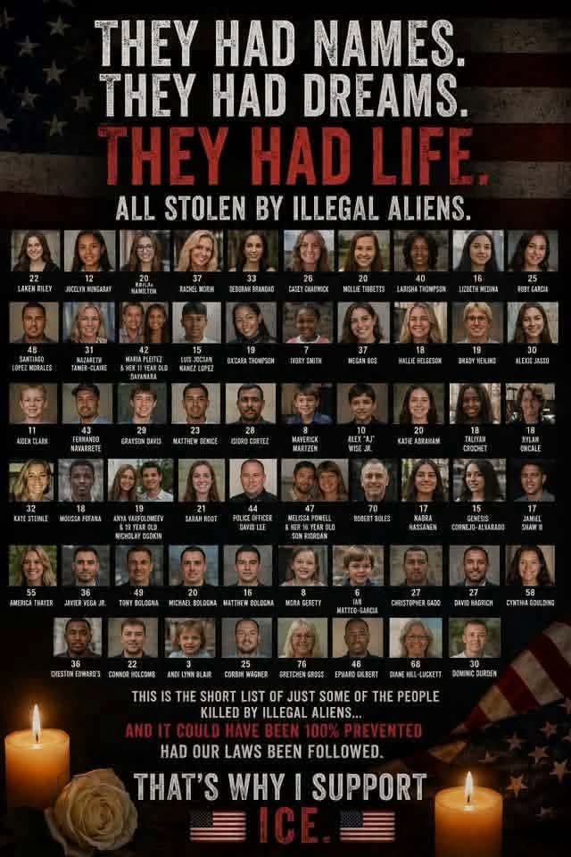 nvoutdoorsman's tweet photo. @HouseDemocrats Any comment on all the Americans murdered by Illegal immigrants. https://t.co/CypBXNEWFr