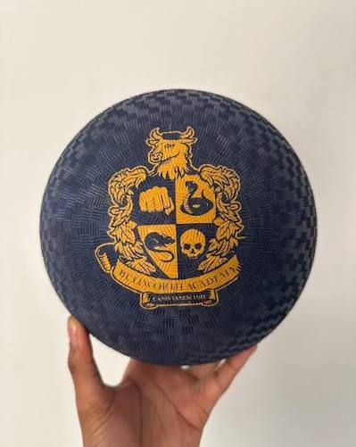 internetpreai's tweet photo. limited edition bully dodgeball from rockstar games, included in the “bully: collector’s edition” bundle distributed by gamestop (2006)

unopened collector's editions now sell for roughly $1600 on ebay in 2026.

this edition retailed for just $49, just $10 more than the price of the standard game.