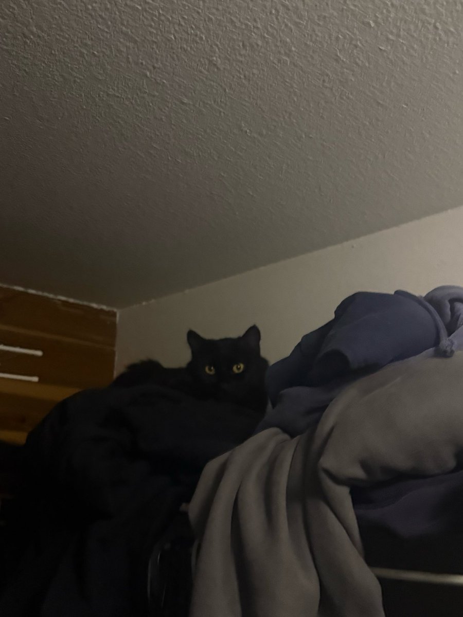 chetchomsky's tweet photo. please get down i want to pet you https://t.co/dFWKZGh888
