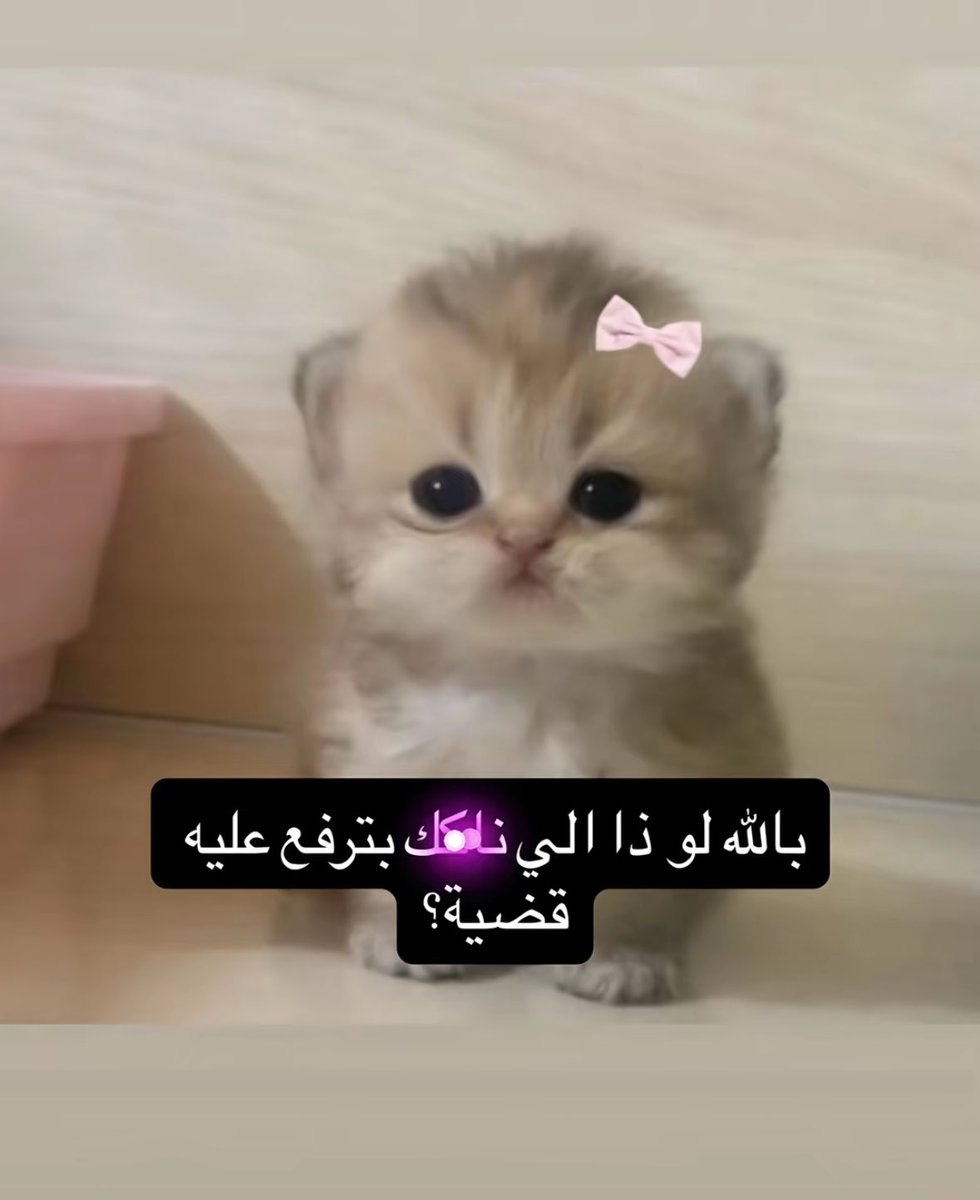 Lilili15ffff's tweet photo. https://t.co/XIervdjwl9