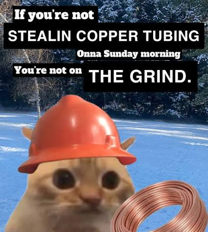 Kingooooor's tweet photo. These copper wire cat thief memes are funny &amp; make sense for a copper paired runner.

Whos down to steal some coppe wire? haha https://t.co/j22V5wH5d2