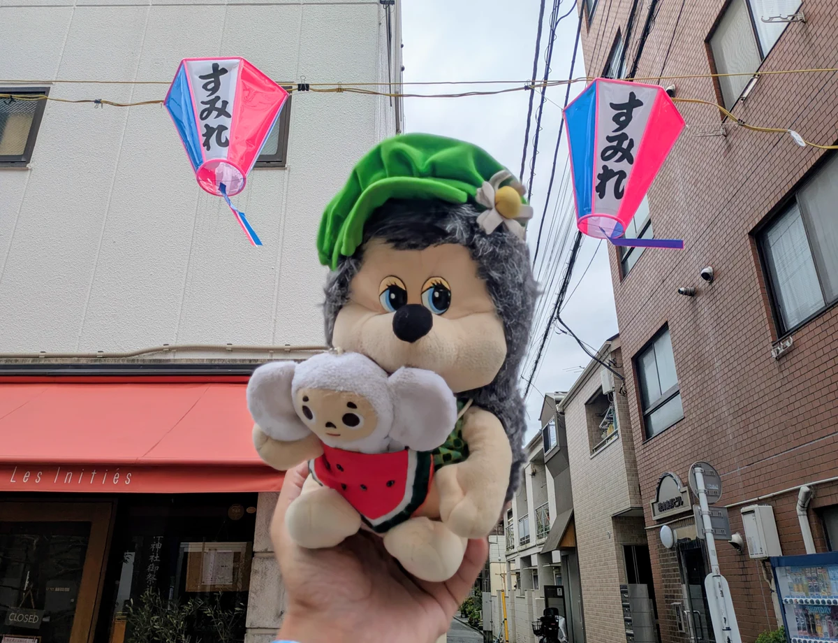 ビー🐝ちゃん_谷根千🐈 on X: 