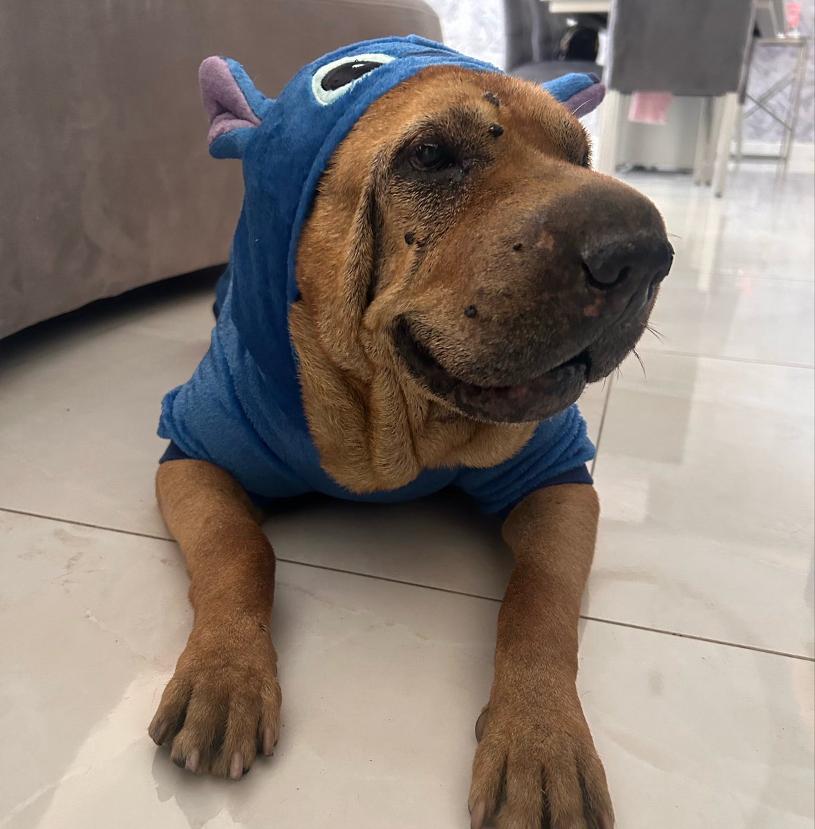 irinapame's tweet photo. Te amo en esta y en todas las vidas 🧸 https://t.co/zKVYJiqdlH