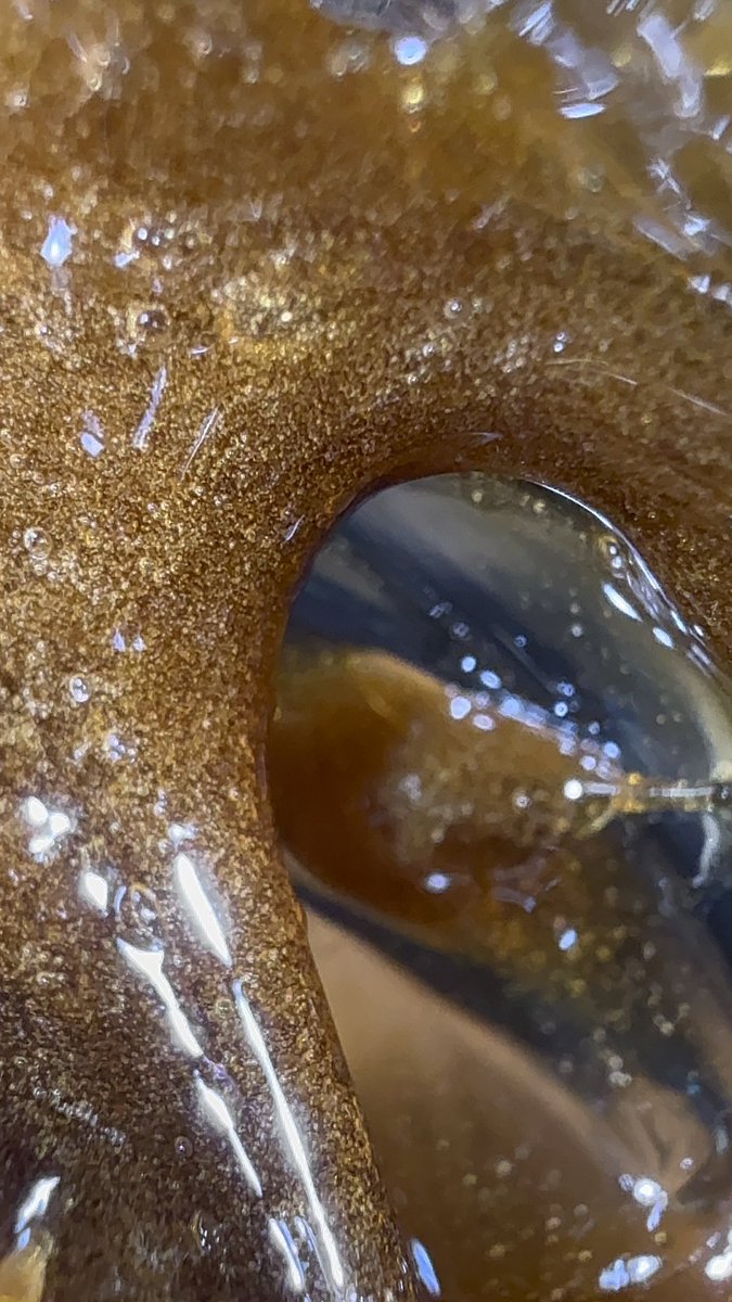 BiigSmoke710 tweet picture