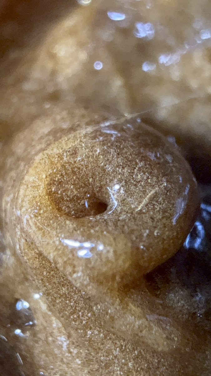 BiigSmoke710 tweet picture